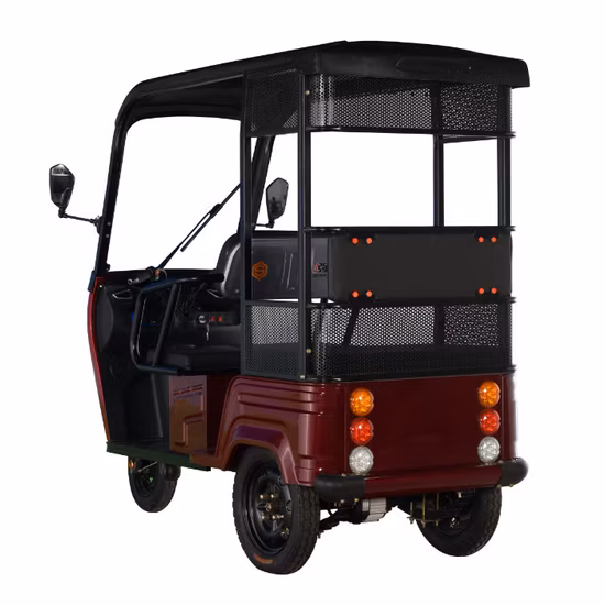 2022 새로운 전기 2인승 자전거 및 로더 E Trike 세발자전거(가족용 성인용 캐노피 지붕 포함)